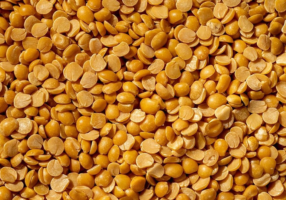 Pigeon Pea